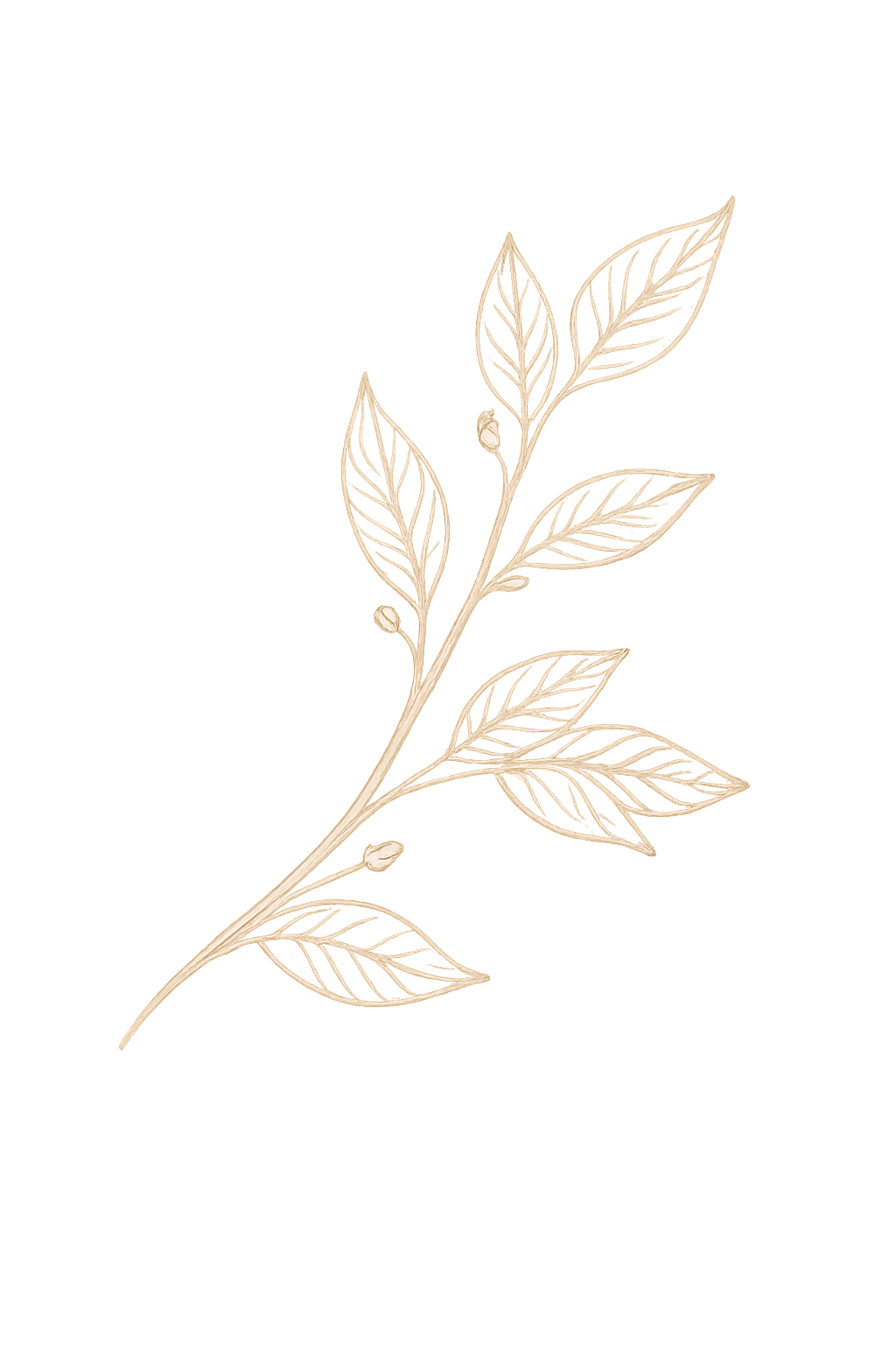 Leaf Decoration